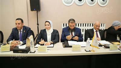 جمال شيحة: رشوان يقدم توصية تضمن إجراء الانتخابات برعاية قضائية كاملة