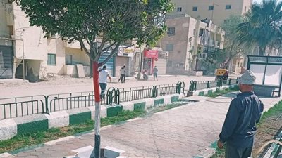 متابعة أعمال الرصف والتشجير بالحسينية في الشرقية 