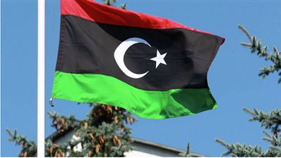 خبير علاقات دولية يكشف النتائج المتوقعة لمفاوضات لجنة 6+6 وسيناريوهات الأزمة الليبية 