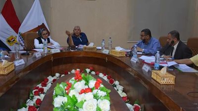 محافظ الوادي الجديد يترأس لجنة اختيار المتقدمين للوظائف القيادية 