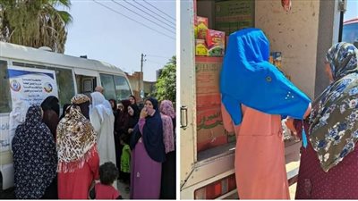 تقديم خدمات طبية وبيطرية خلال قافلة سكانية بوادي النطرون (صور)