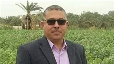 توريد 343 ألف طن قمح بالوادي الجديد 