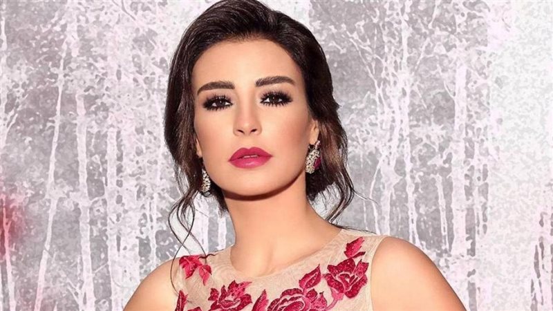 ماغي بو غصن،فيتو
