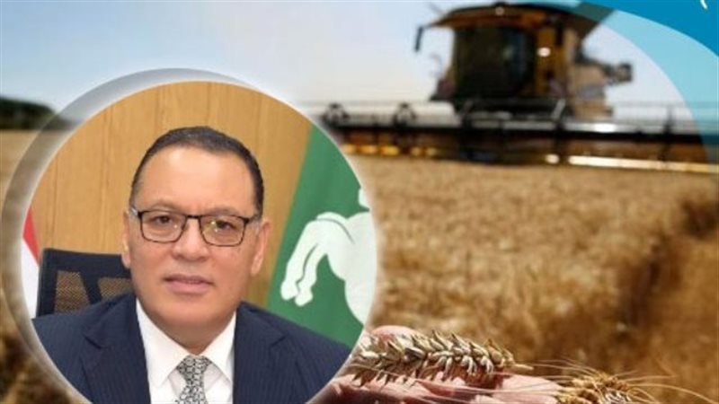 :توريد 491 الف طن