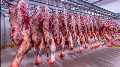 هل الاستيراد الحل الوحيد لارتفاع أسعار اللحوم، نقابة الجزارين تكشف عن مقترحات لحل الأزمة