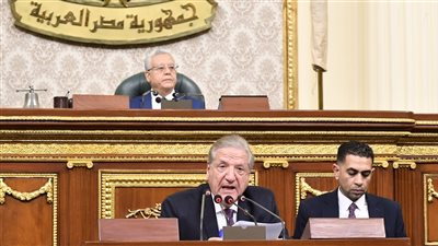 نائب: أطالب بتغيير شعار مصلحة الضرائب لـ جيبك أولا، وأطالب بإلغاء قانون الرسوم 