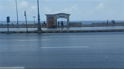 أمطار خفيفة على عدة مناطق بالإسكندرية (صور) 