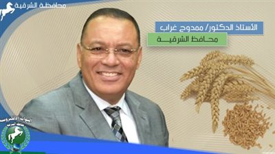 تموين الشرقية: توريد 495 ألف طن قمح للصوامع 