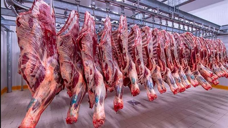 أزمة اللحوم في مصر،