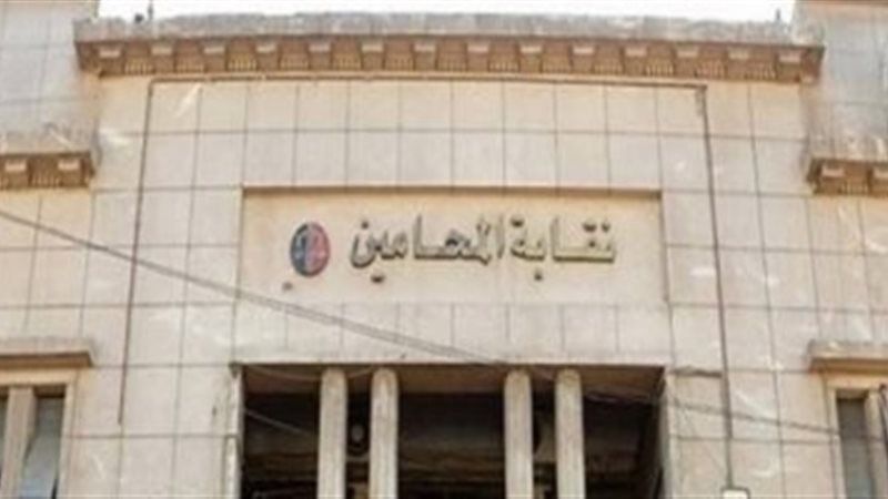 نقابة المحامين،فيتو