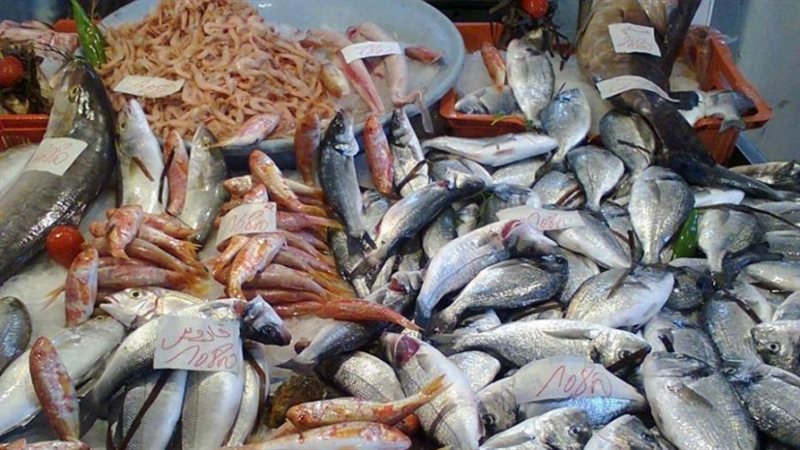 أسعار الأسماك اليوم،