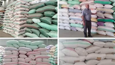 توريد 261 ألف طن قمح لشون وصوامع البحيرة (صور)
