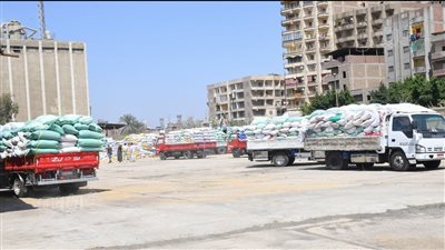 محافظ الغربية: توريد 147 ألف طن قمح لـ 22 موقعا تخزينيا