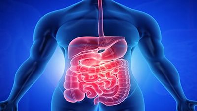 نظام غذائي لإعداد الجهاز الهضمي، لأكلات عيد الأضحى 