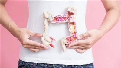 صحة الجسم تبدأ من الأمعاء، أطعمة تحافظ على الجهاز الهضمي