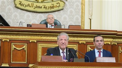 نائب ينتقد قانون الضرائب ويطالب بحل جذري 