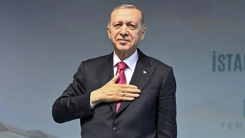 أردوغان،فيتو 