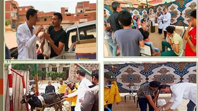 قافلة بيطرية بقرية بني شبل بالزقازيق 