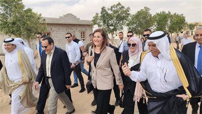 جولة تفقدية لوزيري التنمية المحلية والتخطيط بمدينة الشيخ زويد بشمال سيناء (فيديو وصور)