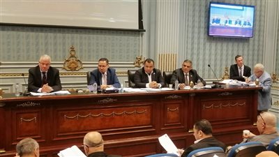 رئيس زراعة البرلمان يستعرض توصيات اللجنة بشأن مشكلات الوادي الجديد