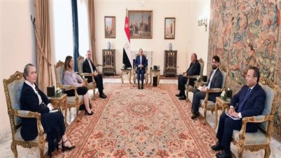 رسائل الرئيس السيسي للمفوض السامي للأمم المتحدة لشئون اللاجئين (فيديو)