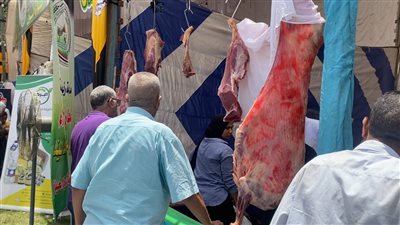 أسعار منتجات وزارة الزراعة بمعرض زهور الربيع بالدقي (فيديو)