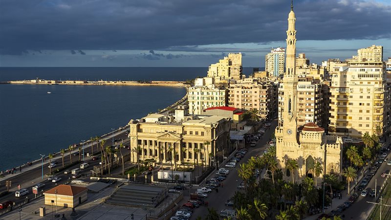 الإسكندرية، فيتو