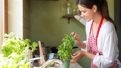 فوائد الريحان، مفيد للجهاز الهضمي والبشرة والقلب