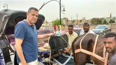 تركيب 25 حفاضة خيول جديدة لعربات الحنطور بالأقصر