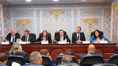 الاتصالات: التقاضي عن بعد بالمحاكم يوفر مليار جنيه سنويا 