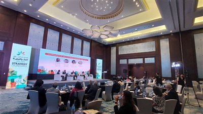 مؤسسة ساويرس: برنامج 