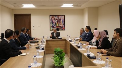 وزير الكهرباء يبحث التعاون المشترك مع شركة CTGI الصينية 