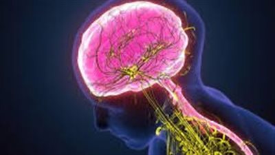 استشاري أمراض المخ والأعصاب.. ضعف المناعة يؤثر على الأعصاب 