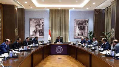 رئيس الوزراء يتابع موقف مشروعات المنطقة الصناعية ببورسعيد