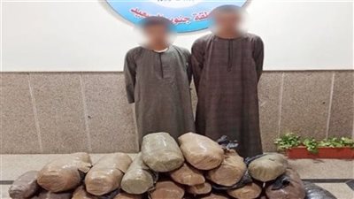 حبس 3 عناصر إجرامية بتهمة حيازة كميات من المخدرات بقنا