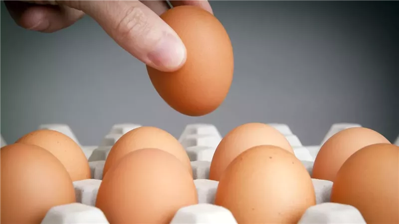 سعر كرتونة البيض،