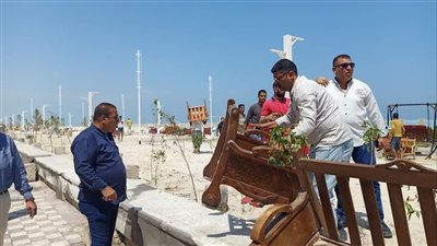 حملة مكبرة لحي العجمي بطريق إسكندرية مطروح والنخيل (صور)