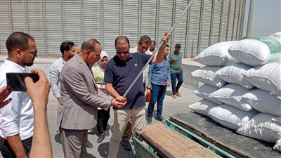 التموين: زراعة 75 ألف فدان بقنا ونستهدف 112 ألف طن قمح 