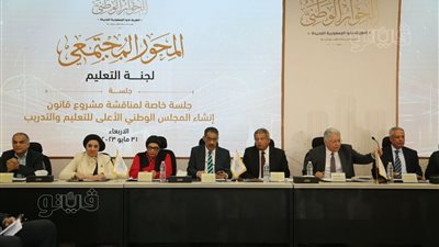 إيناس دويدار: ضرورة تحديد هيئة عليا تابعة لمجلس الوزراء لملف التماسك الأسري