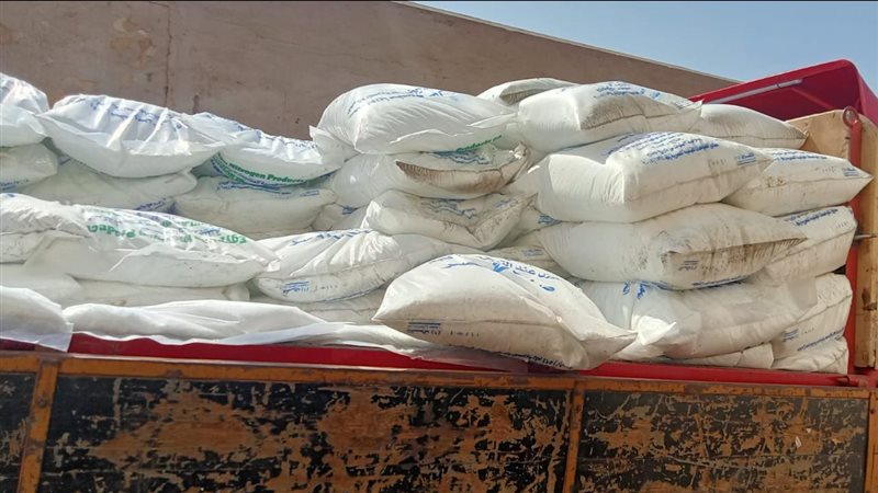 المضبوطات من القمح،فيتو