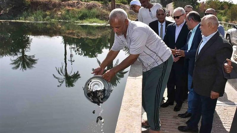 جانب من متابعة محافظ