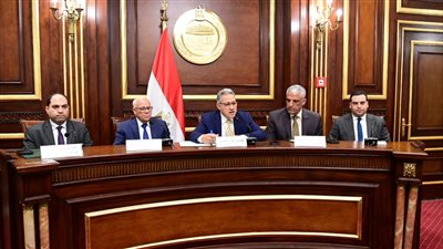 محلية النواب تصدر 6 توصيات لحل أزمة وقف  الحصص الاستيرادية في بورسعيد