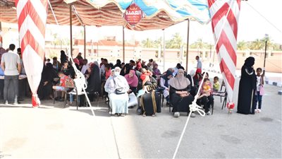 قافلة جامعة المنصورة جسور الخير (19) تواصل جهودها في شمال سيناء