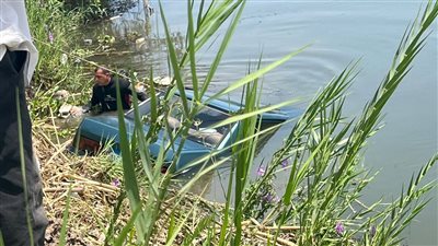 إصابة 18 شخصًا إثر انقلاب سيارة ربع نقل في ترعة بالدقهلية 