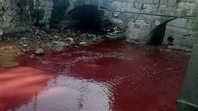 نهر بردى في دمشق يتحول إلى اللون الأحمر (صور)