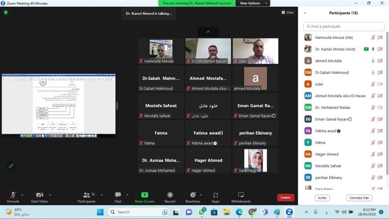 جانب من الورشة الإفتراضية،