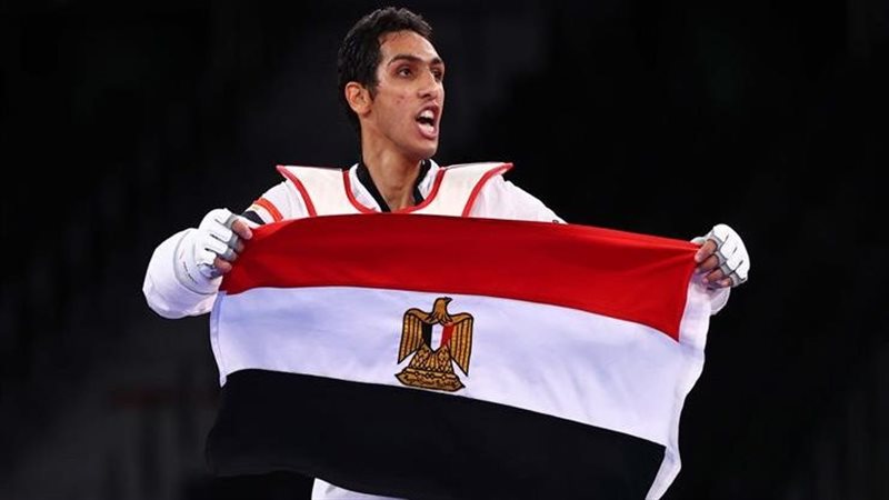 سيف عيسى، فيتو