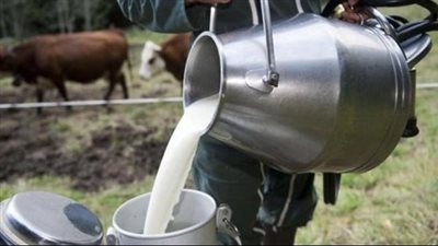 أسعار الألبان اليوم الخميس 1-6-2023 في المنيا