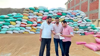 ضبط 107 أطنان قمح محلي داخل نقاط تجميع غير رسمية بكفر الدوار 