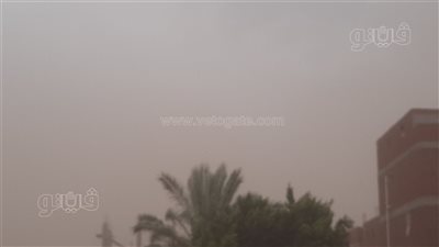 عاصفة ترابية تضرب الإسماعيلية والمحافظة تعلن حالة الطوارئ (صور)